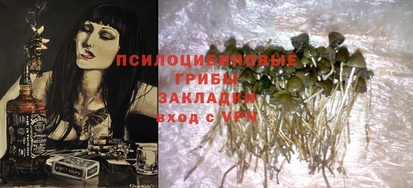 шишки Белоозёрский