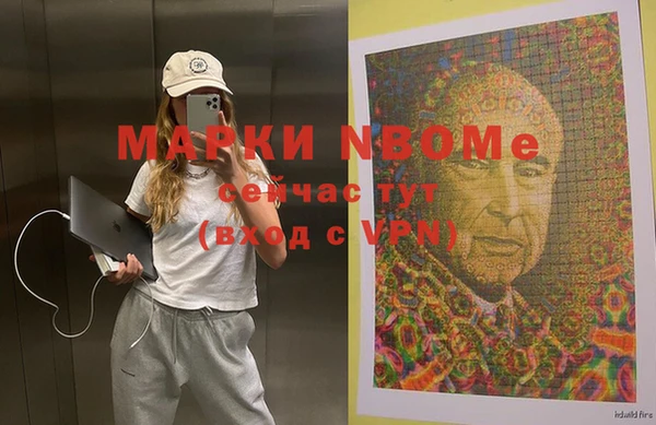 шишки Белоозёрский