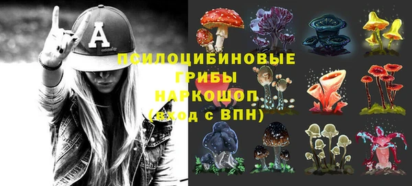 mix Белокуриха