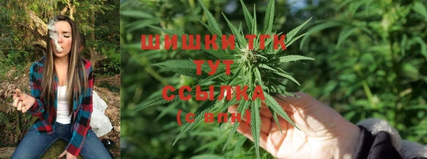 шишки Белоозёрский