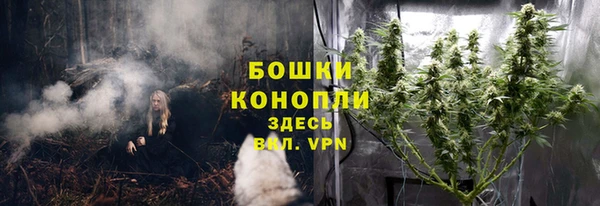 mix Белокуриха