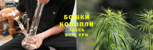ALPHA PVP Беломорск