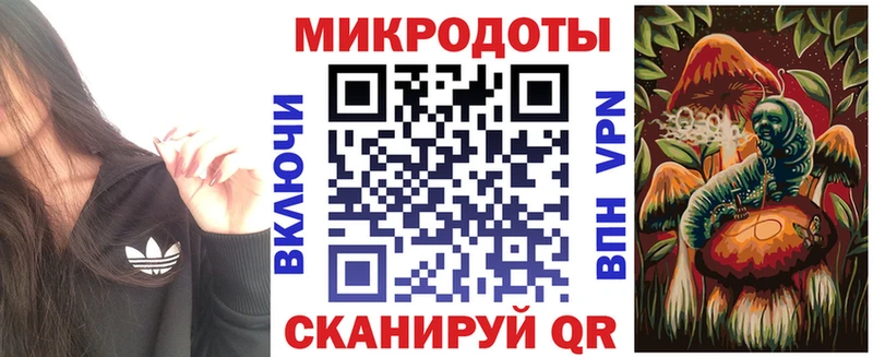 Галлюциногенные грибы Psilocybe  Купить закладки  Киренск 